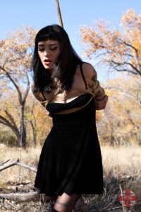 Aimee Tied