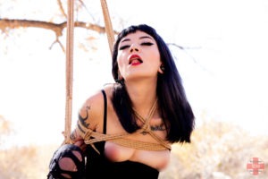 Aimee Tied